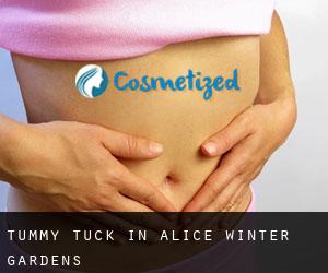 Tummy Tuck in Alice Winter Gardens