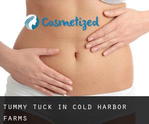Tummy Tuck in Cold Harbor Farms