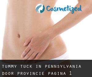 Tummy Tuck in Pennsylvania door Provincie - pagina 1