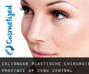 Calidñgan plastische chirurgie (Province of Cebu, Central Visayas)