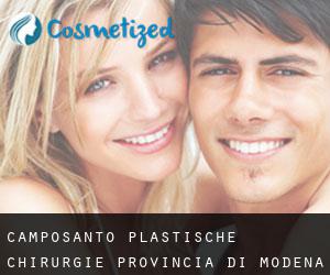 Camposanto plastische chirurgie (Provincia di Modena, Emilia-Romagna)