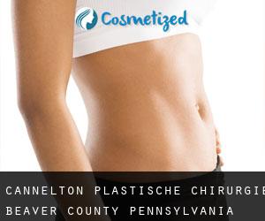 Cannelton plastische chirurgie (Beaver County, Pennsylvania)