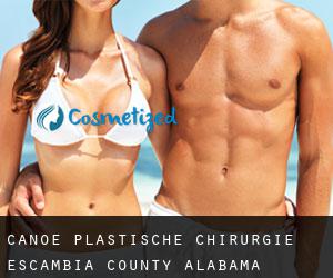 Canoe plastische chirurgie (Escambia County, Alabama)