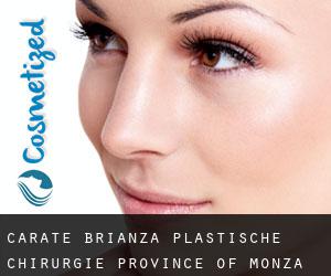Carate Brianza plastische chirurgie (Province of Monza and Brianza, Lombardy)