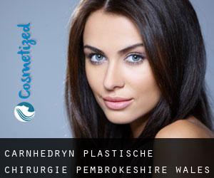 Carnhedryn plastische chirurgie (Pembrokeshire, Wales)