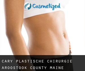 Cary plastische chirurgie (Aroostook County, Maine)