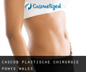 Cascob plastische chirurgie (Powys, Wales)