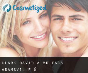 Clark David A MD Facs (Adamsville) #8