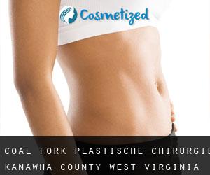 Coal Fork plastische chirurgie (Kanawha County, West Virginia)