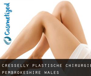 Cresselly plastische chirurgie (Pembrokeshire, Wales)