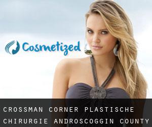 Crossman Corner plastische chirurgie (Androscoggin County, Maine)