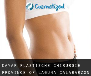 Dayap plastische chirurgie (Province of Laguna, Calabarzon)