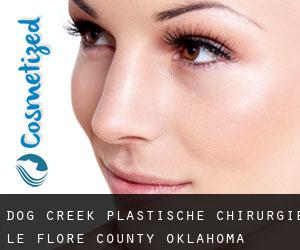 Dog Creek plastische chirurgie (Le Flore County, Oklahoma)