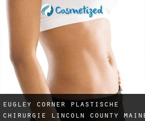Eugley Corner plastische chirurgie (Lincoln County, Maine)