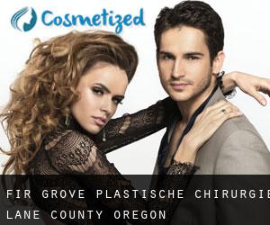 Fir Grove plastische chirurgie (Lane County, Oregon)