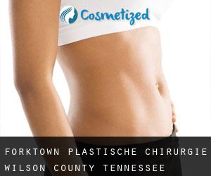 Forktown plastische chirurgie (Wilson County, Tennessee)
