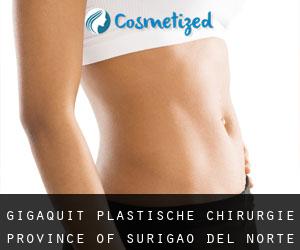 Gigaquit plastische chirurgie (Province of Surigao del Norte, Caraga)