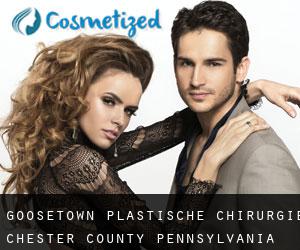 Goosetown plastische chirurgie (Chester County, Pennsylvania)
