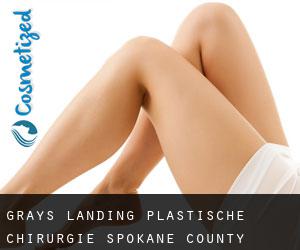 Grays Landing plastische chirurgie (Spokane County, Washington)
