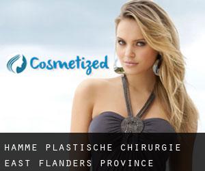 Hamme plastische chirurgie (East Flanders Province, Flanders)