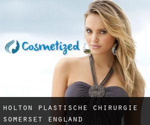 Holton plastische chirurgie (Somerset, England)