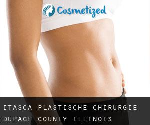 Itasca plastische chirurgie (DuPage County, Illinois)