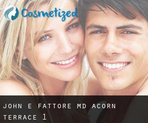 John E Fattore MD (Acorn Terrace) #1