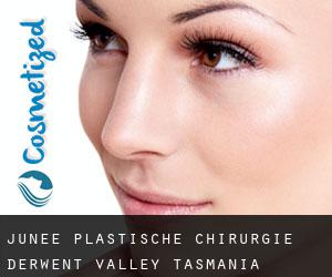 Junee plastische chirurgie (Derwent Valley, Tasmania)