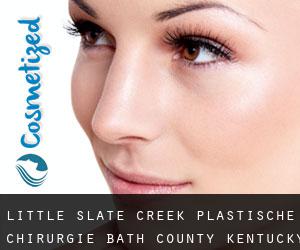 Little Slate Creek plastische chirurgie (Bath County, Kentucky)