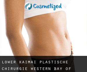 Lower Kaimai plastische chirurgie (Western Bay of Plenty District, Bay of Plenty)