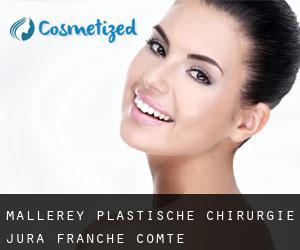 Mallerey plastische chirurgie (Jura, Franche-Comté)