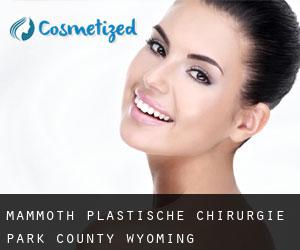Mammoth plastische chirurgie (Park County, Wyoming)