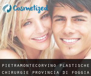 Pietramontecorvino plastische chirurgie (Provincia di Foggia, Apulia)