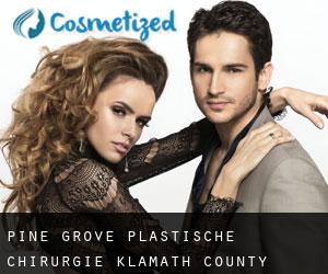 Pine Grove plastische chirurgie (Klamath County, Oregon)