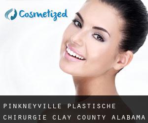 Pinkneyville plastische chirurgie (Clay County, Alabama)