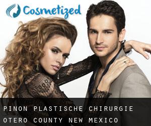 Piñon plastische chirurgie (Otero County, New Mexico)
