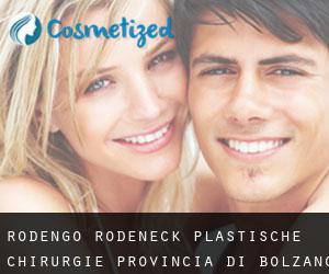 Rodengo - Rodeneck plastische chirurgie (Provincia di Bolzano, Trentino-Alto Adige)