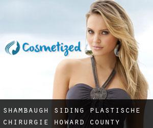 Shambaugh Siding plastische chirurgie (Howard County, Indiana)