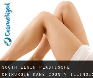 South Elgin plastische chirurgie (Kane County, Illinois)