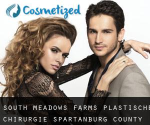 South Meadows Farms plastische chirurgie (Spartanburg County, South Carolina)