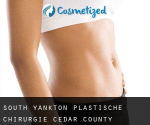 South Yankton plastische chirurgie (Cedar County, Nebraska)