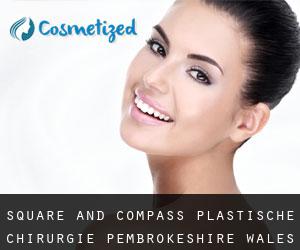 Square and Compass plastische chirurgie (Pembrokeshire, Wales)