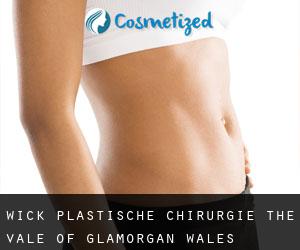 Wick plastische chirurgie (The Vale of Glamorgan, Wales)
